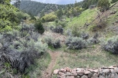 Section 1 - Juan Trail Canyon
