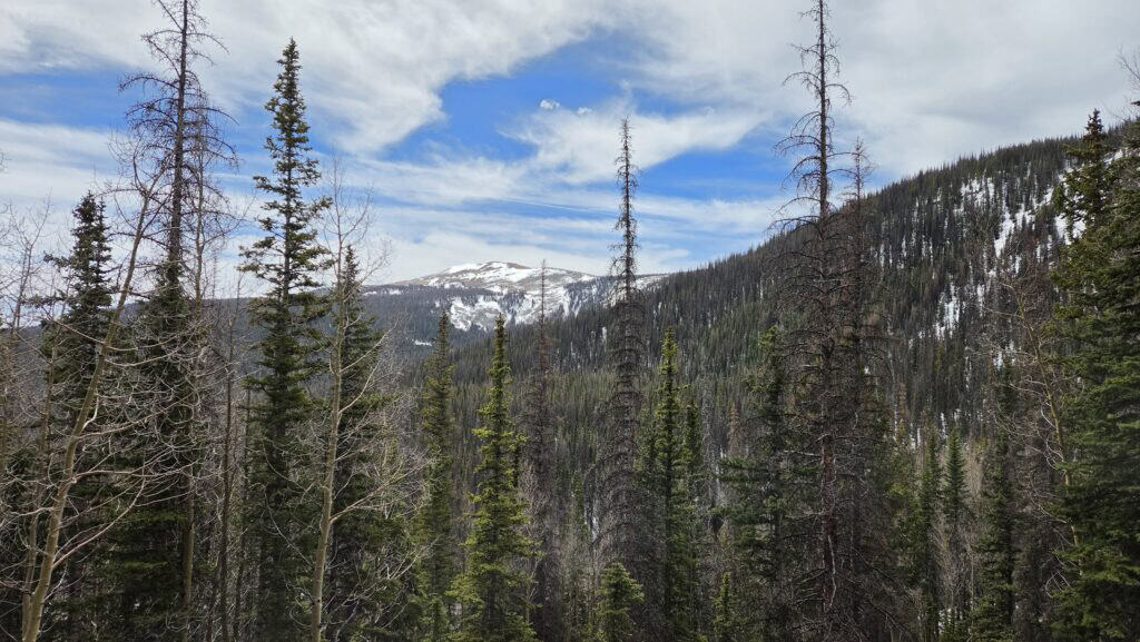 Snow-capped mountains and dense pine forests along the Santa Fe to Taos Thru-Hike trail on April 5.