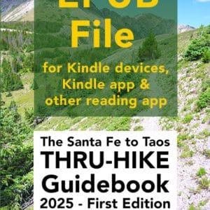 Kindle/epub, first edition