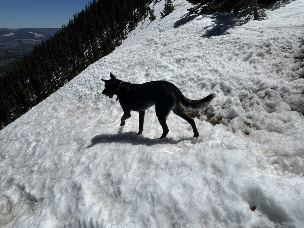 Dangerous levels of ice and snow on Lake Katherine swtichbacks, Santa Fe to Taos Thru-Hike, May 1, 2026.