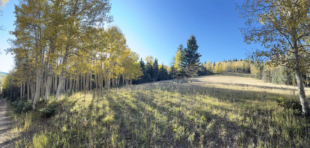 Hiking trail through scenic forest and open meadows in Santa Fe to Taos Thru-Hike, New Mexico.