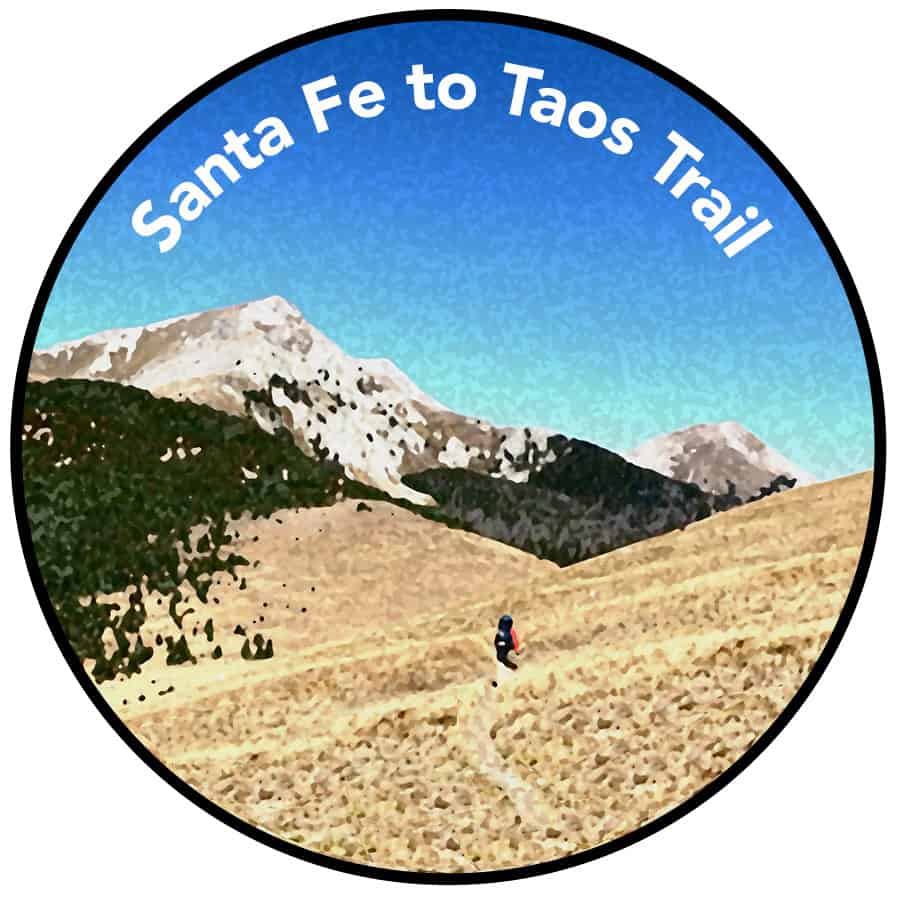 Form Logo