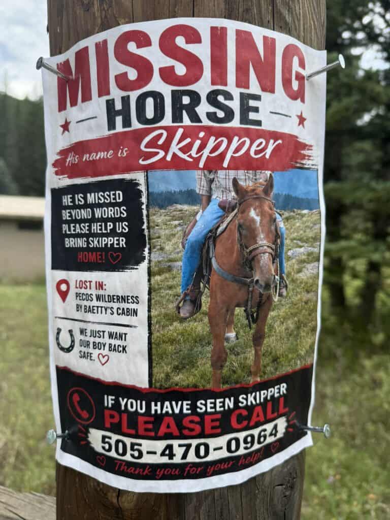 Missing horse poster seeking Skipper in Pecos Wilderness near Taos, New Mexico.