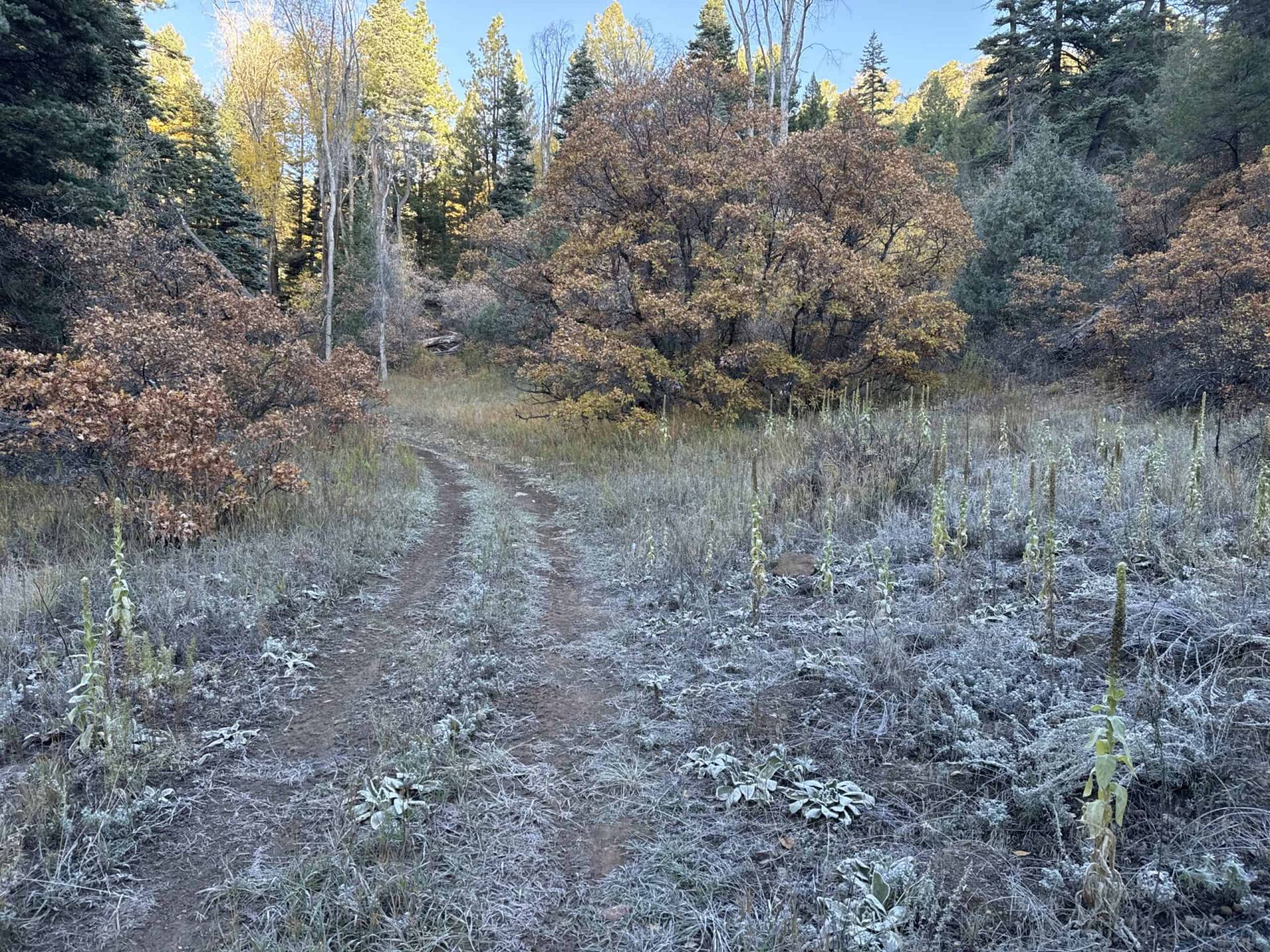 S6-4 Entrance to Drake Canyon