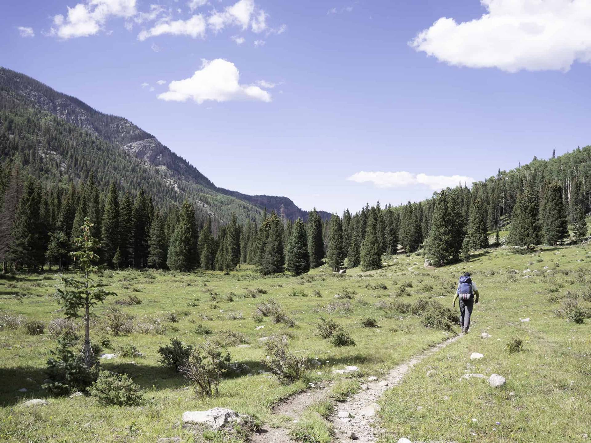 S3-5 Middle Fork Trail with Truchas Peaks in the distance