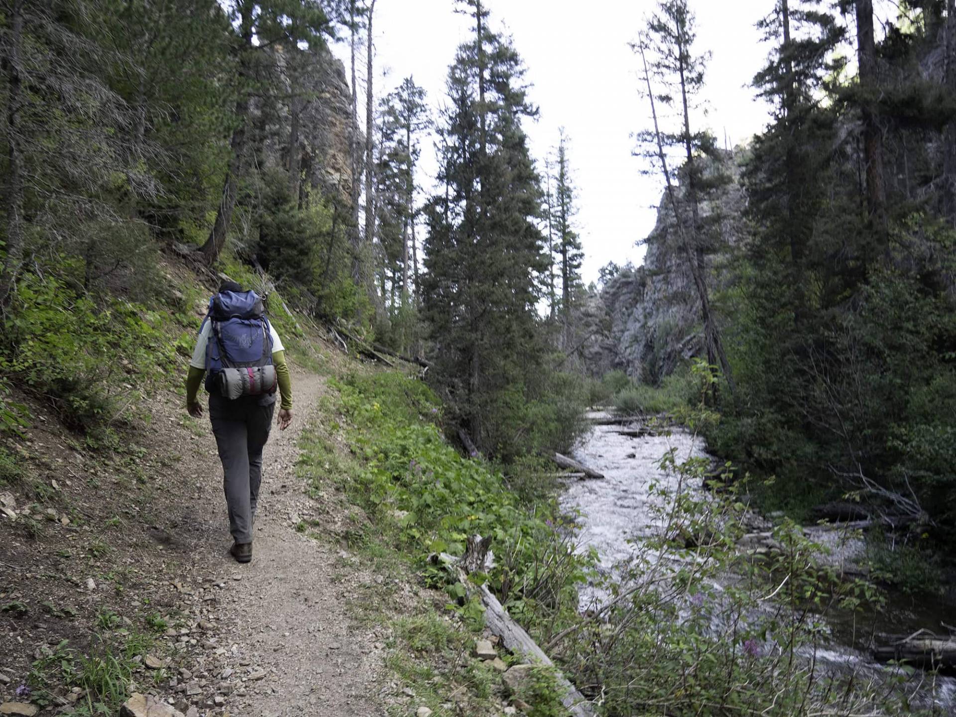 S3-5 Middle Fork Trail with Truchas Peaks in the distance