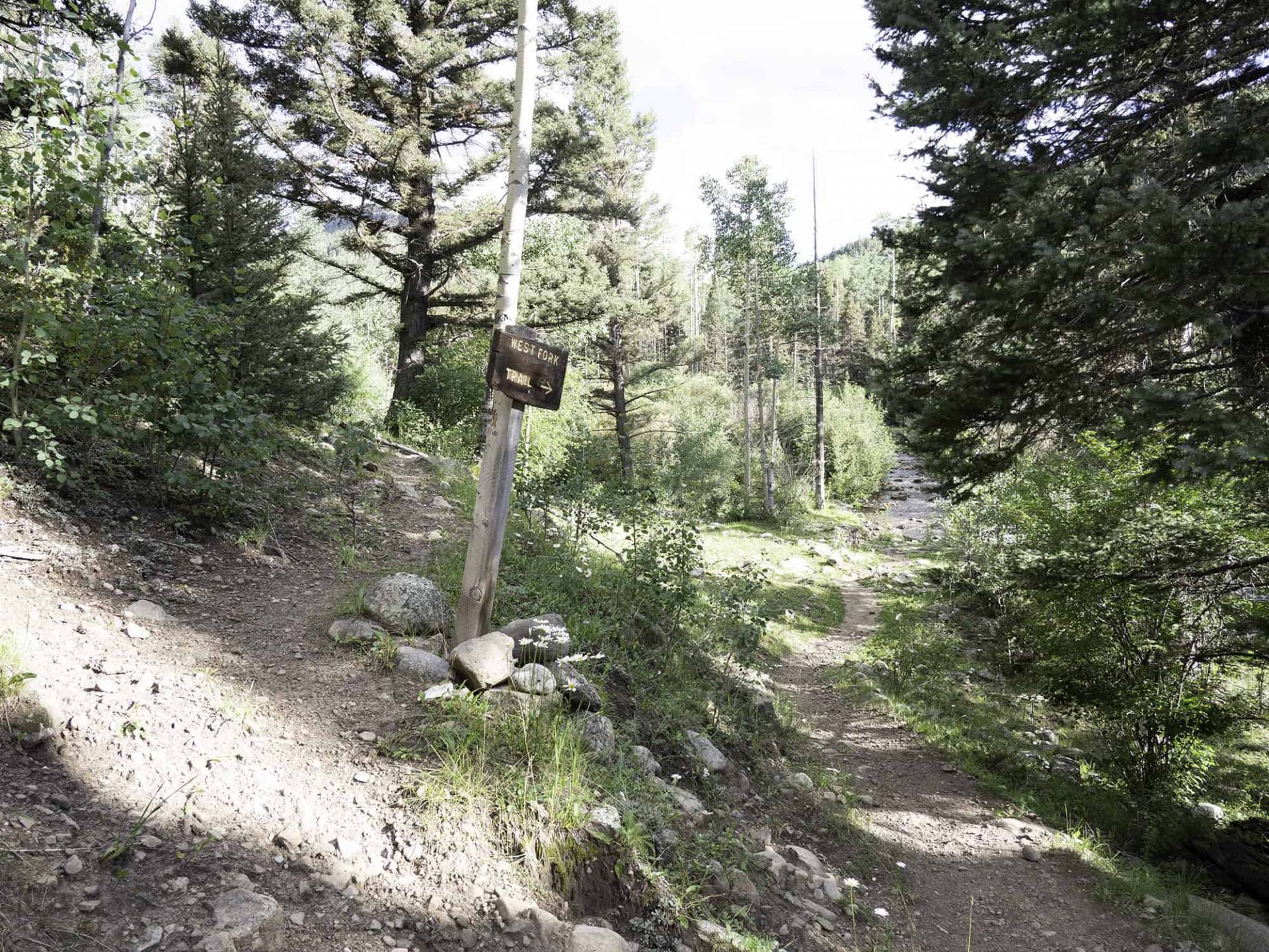 S3-5 Middle Fork Trail with Truchas Peaks in the distance