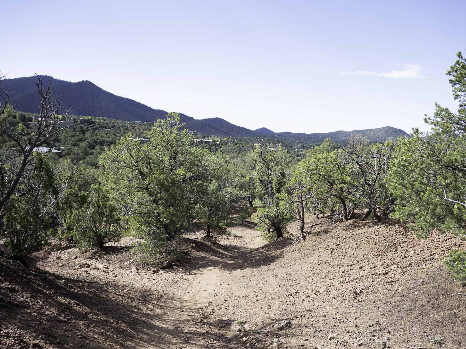 View from Little Tesuque Trail, Section 1-4. 