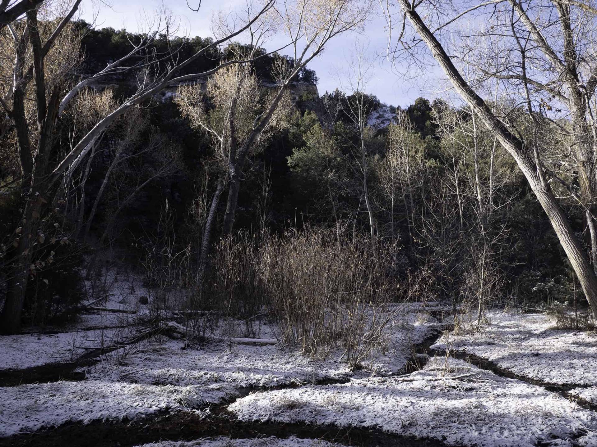 View from Little Tesuque Trail, Section 1-4. 