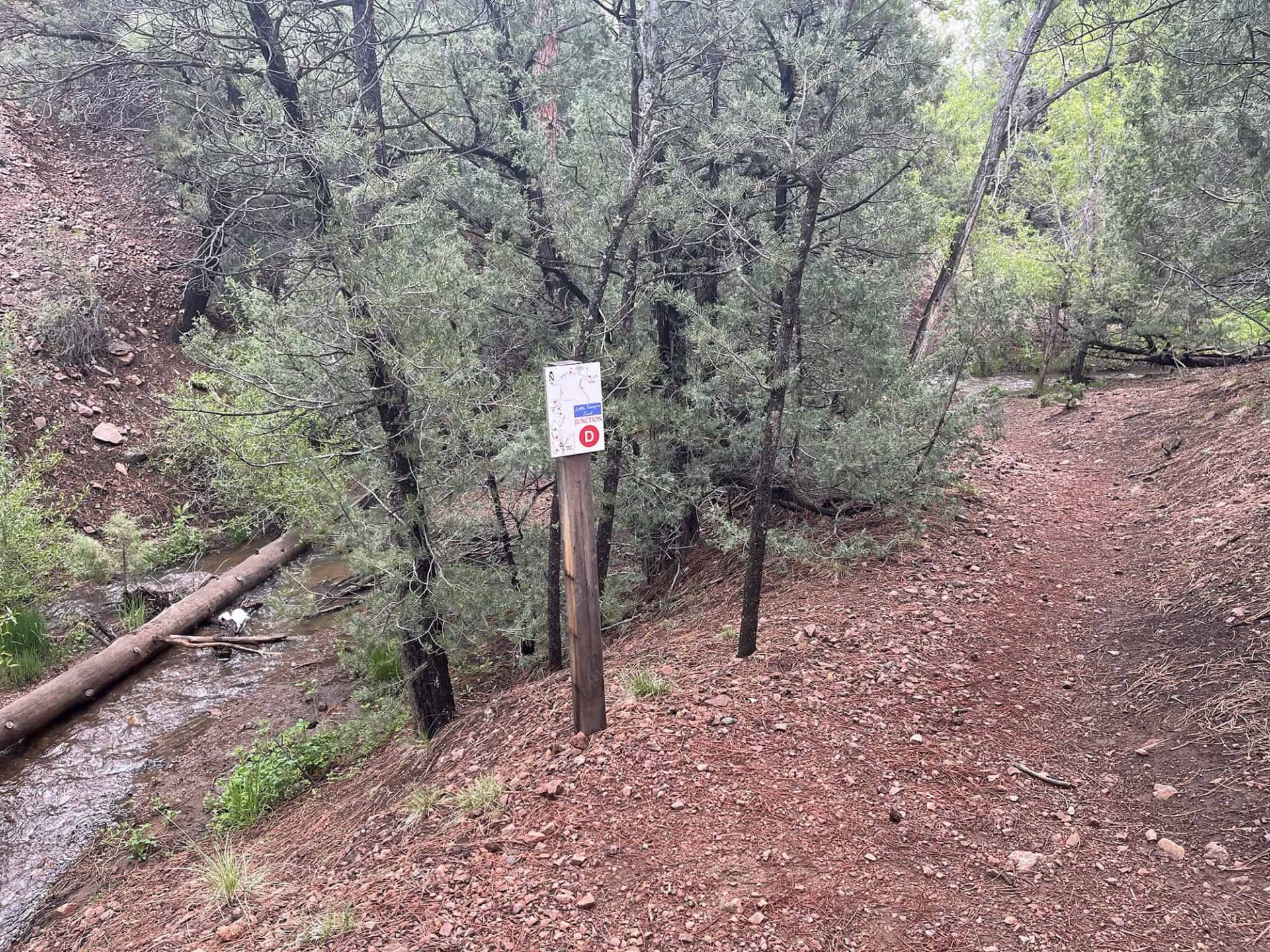 View from Little Tesuque Trail, Section 1-4. 