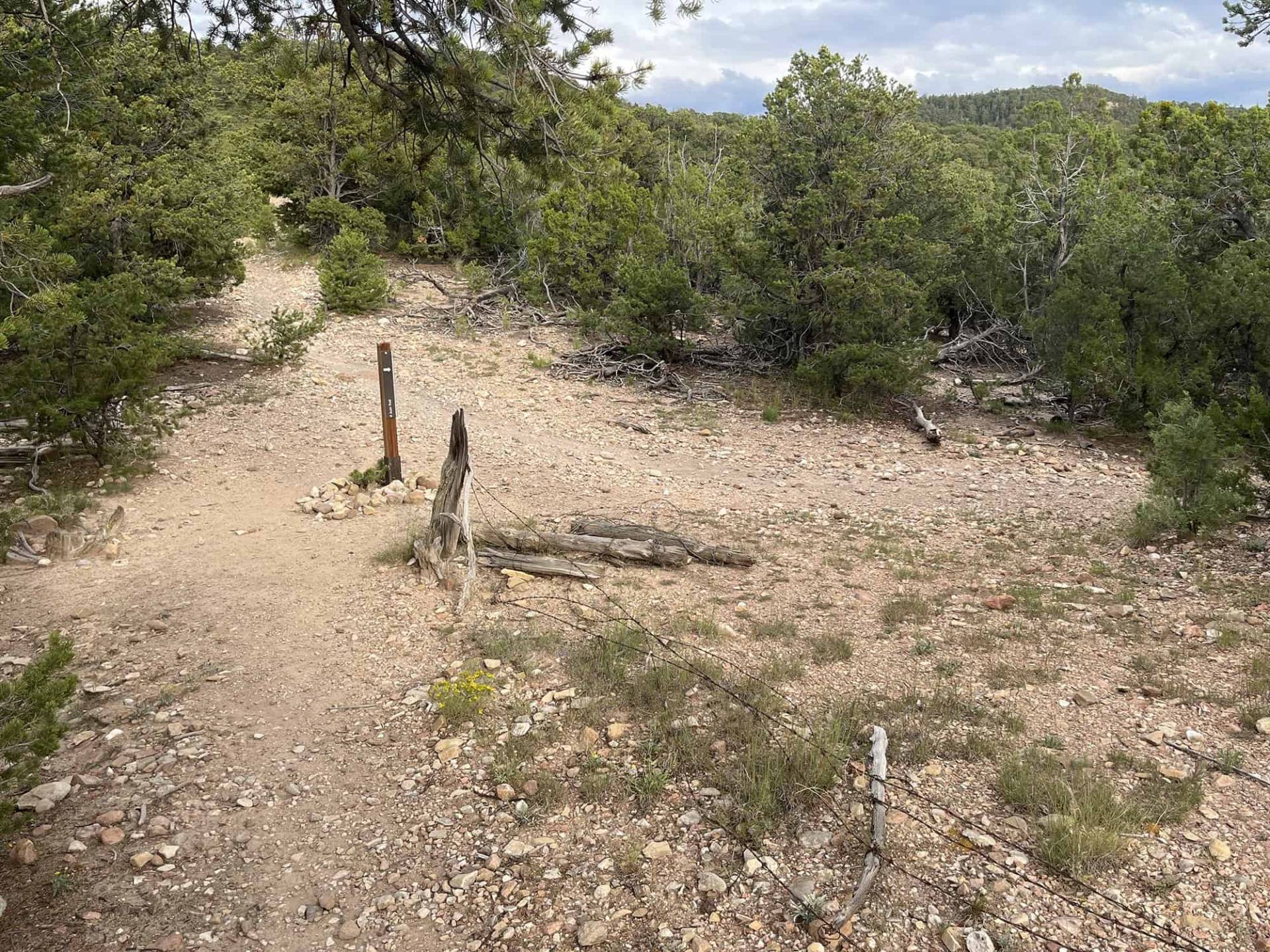 oaks in Juan Canyon, Section 1-5