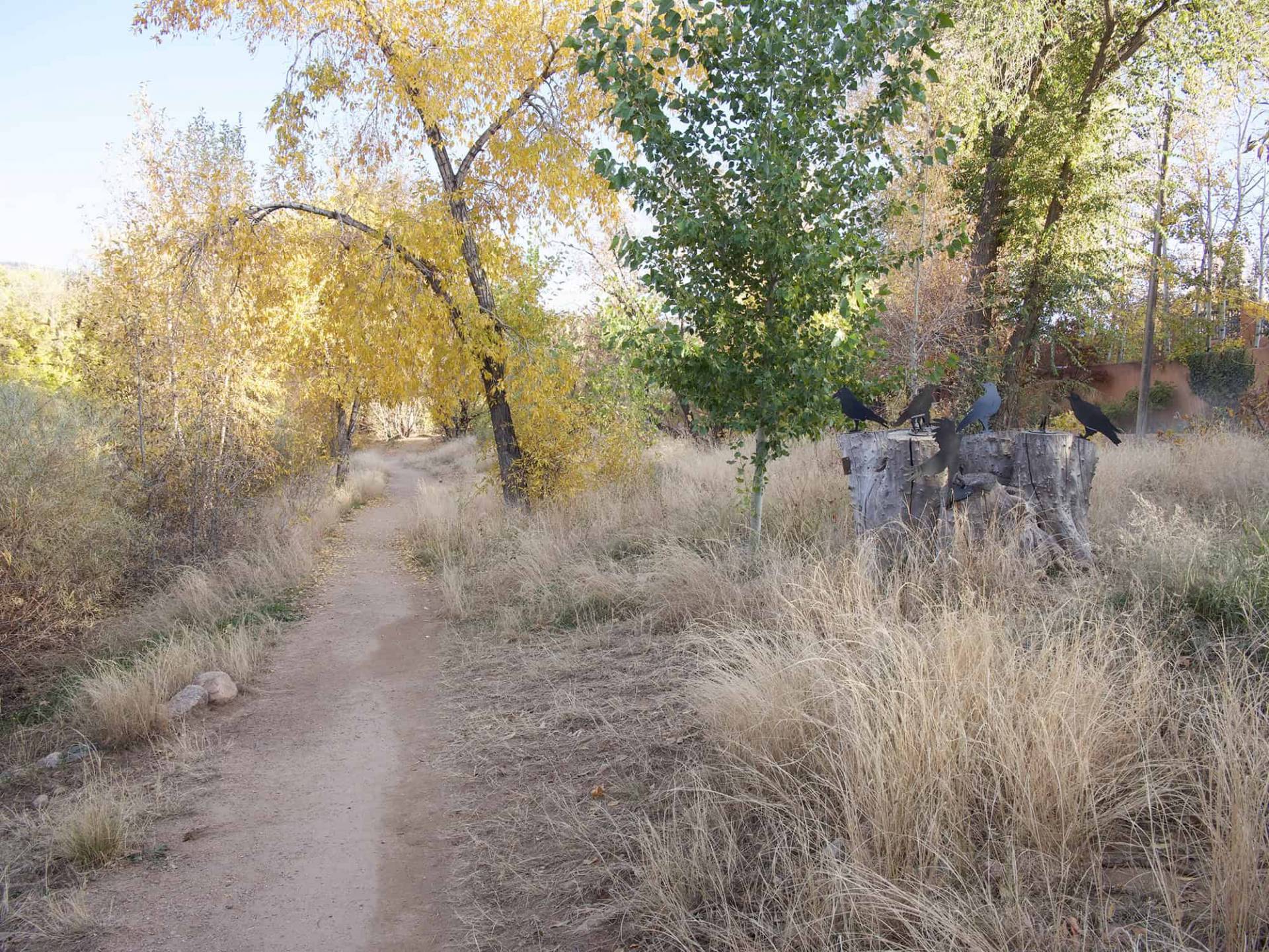 View from Little Tesuque Trail, Section 1-4. 