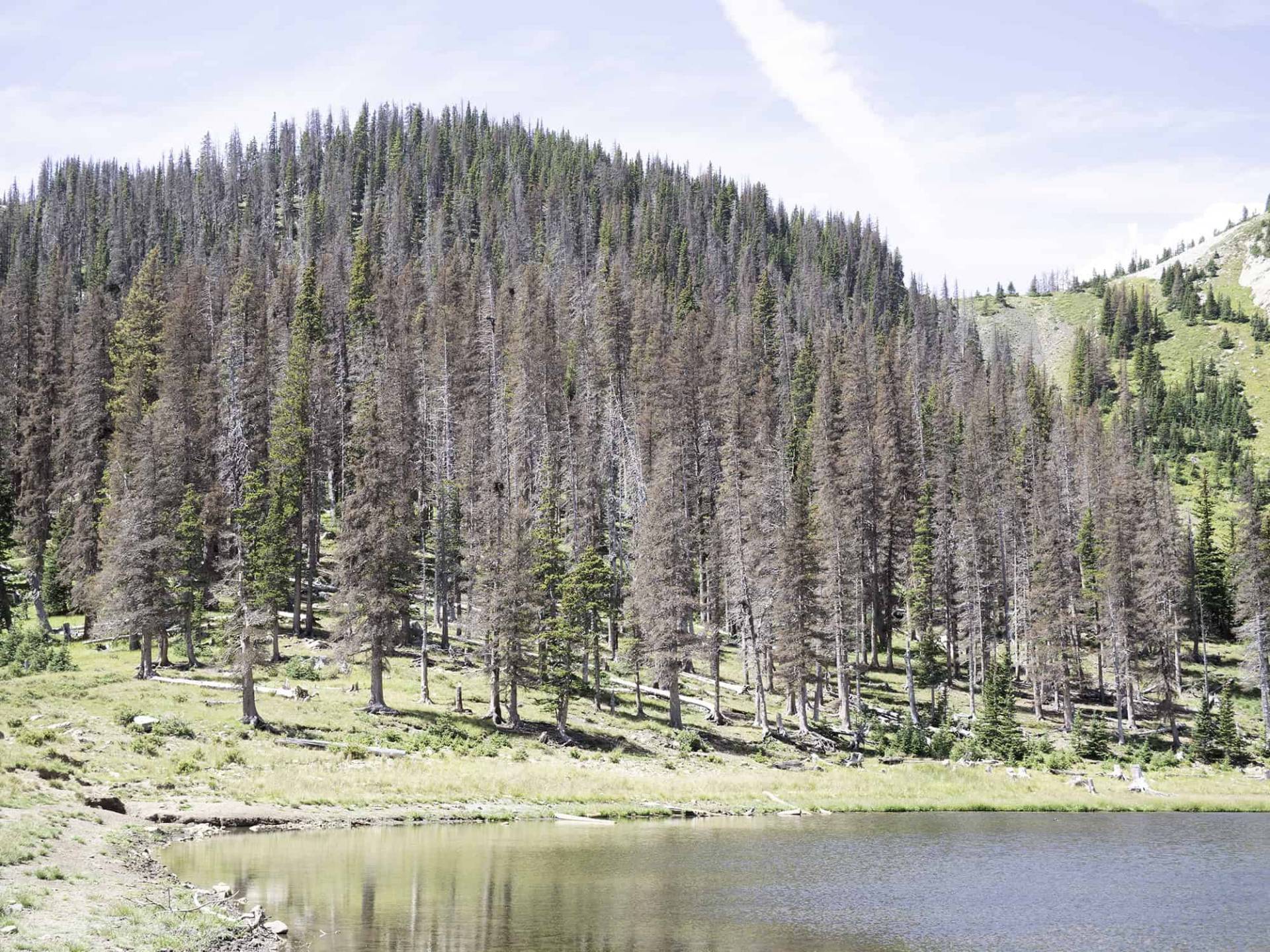 S2-9 Pecos Baldy Lake