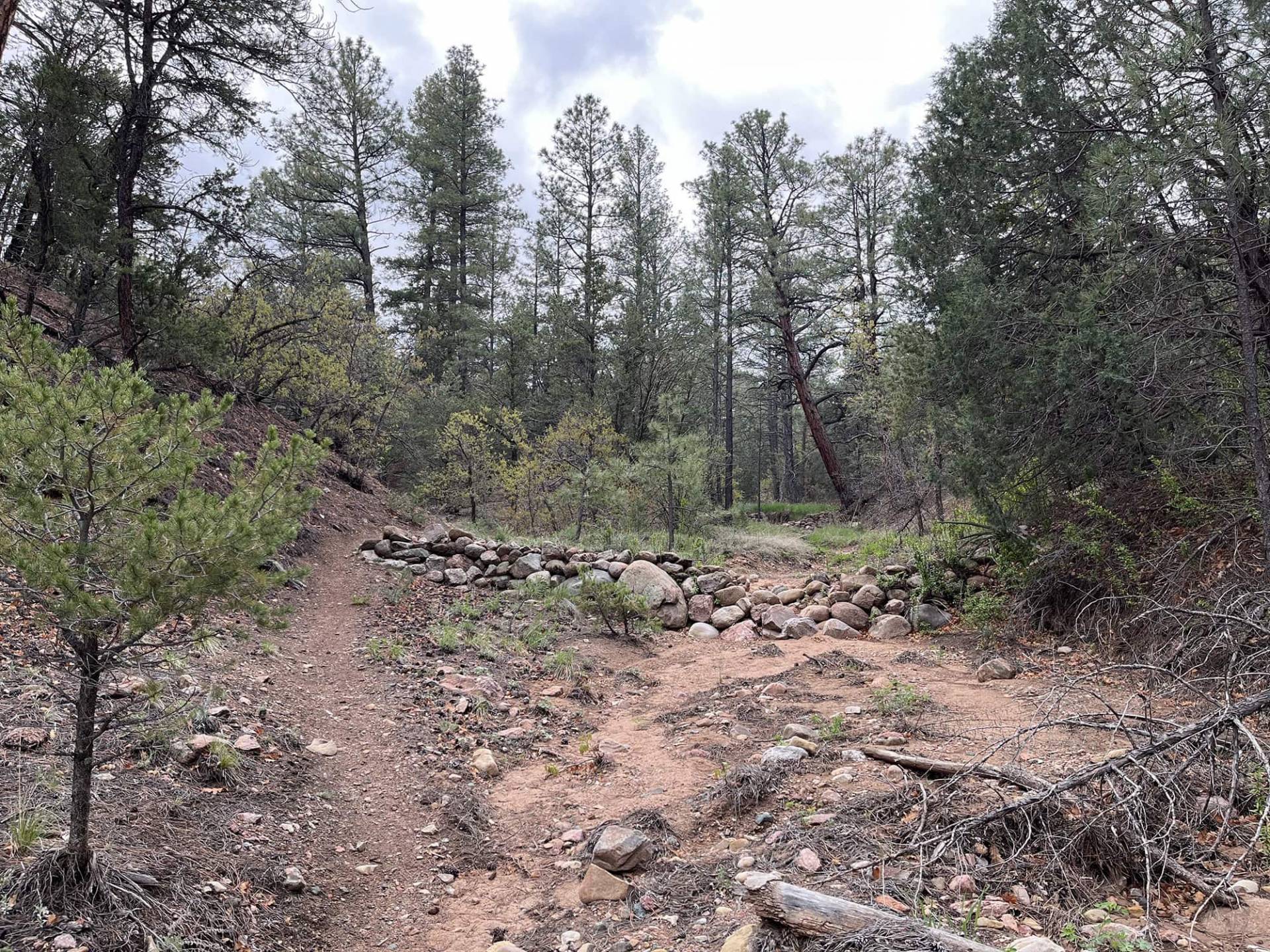 Stone work in arroyo along Juan Trail