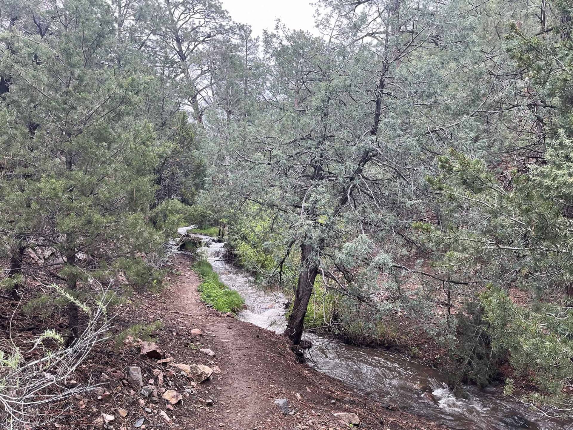 View from Little Tesuque Trail, Section 1-4. 