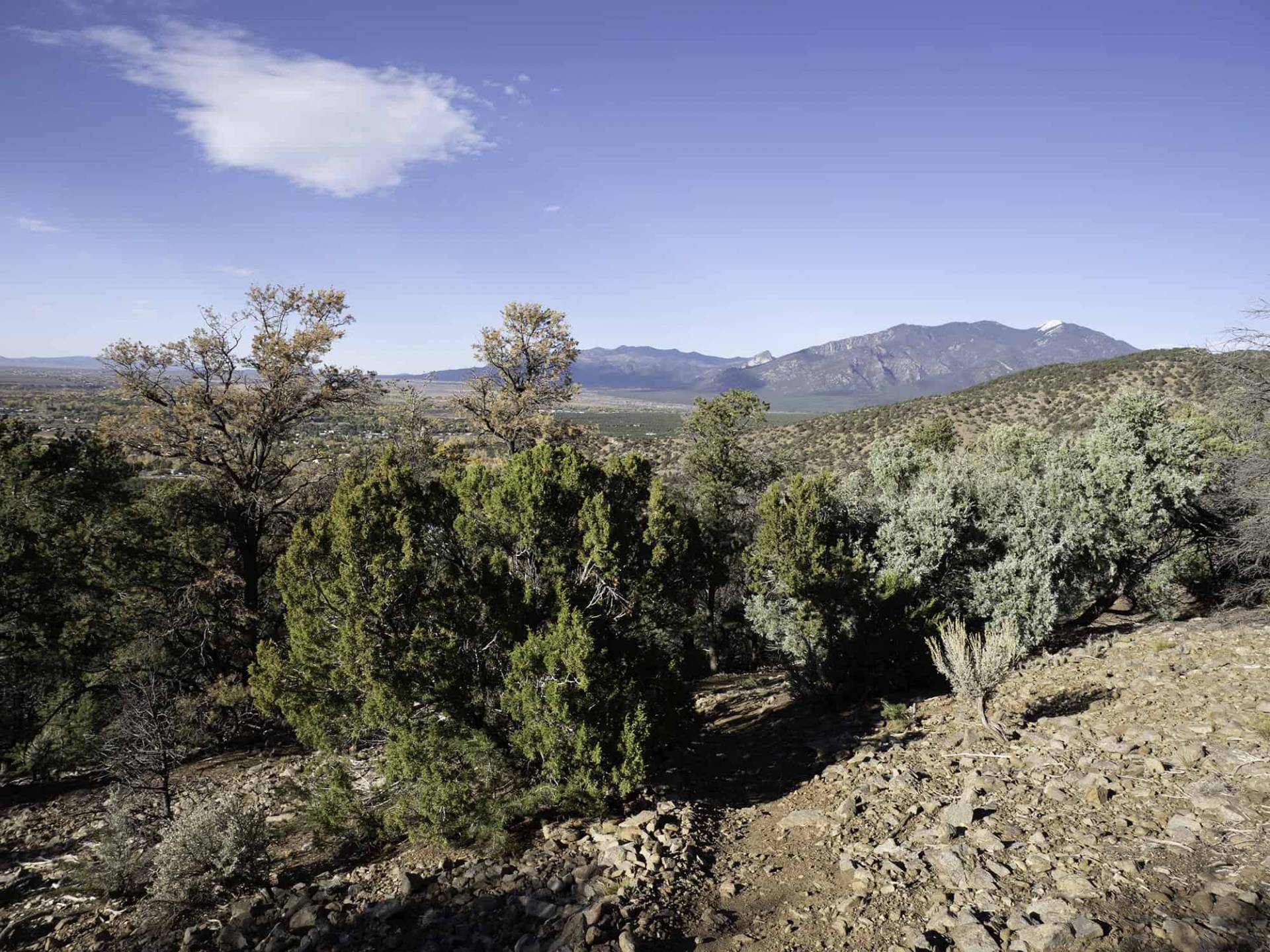 S6-5 view of Taos Mountains from unnamed trail