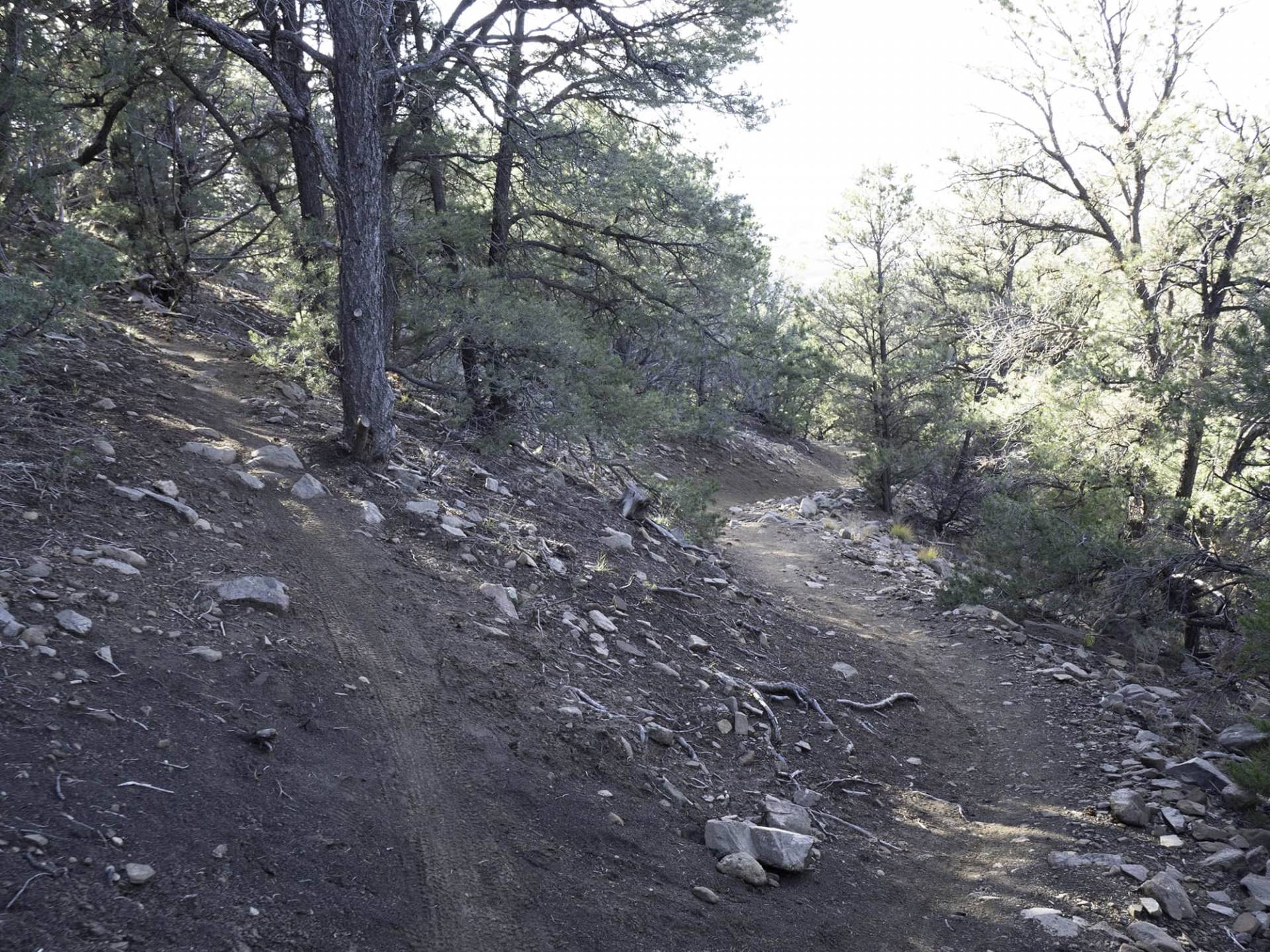 S6-5 view of Taos Mountains from unnamed trail