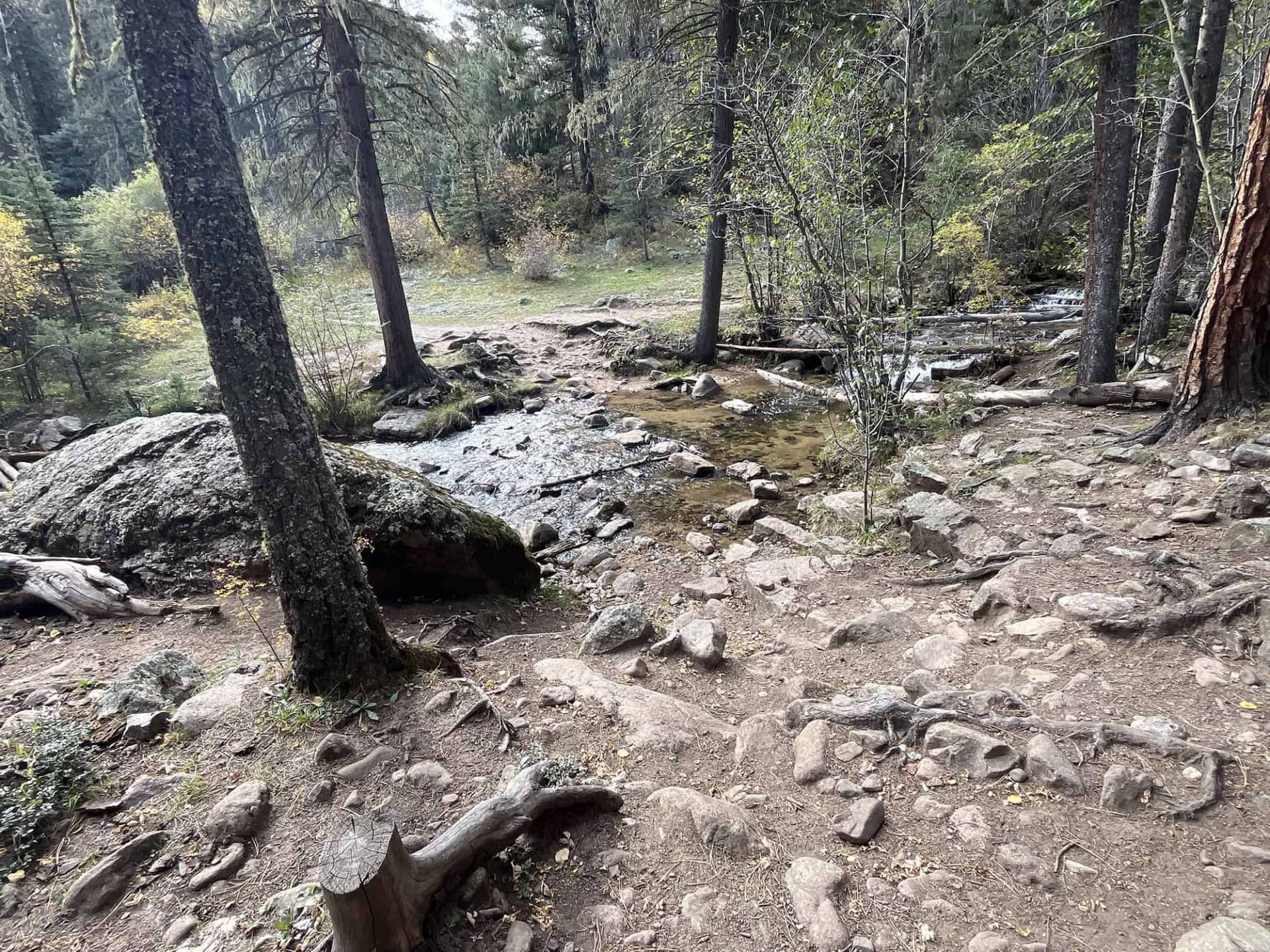 S2-6 Coming down Cave Creek Trail 