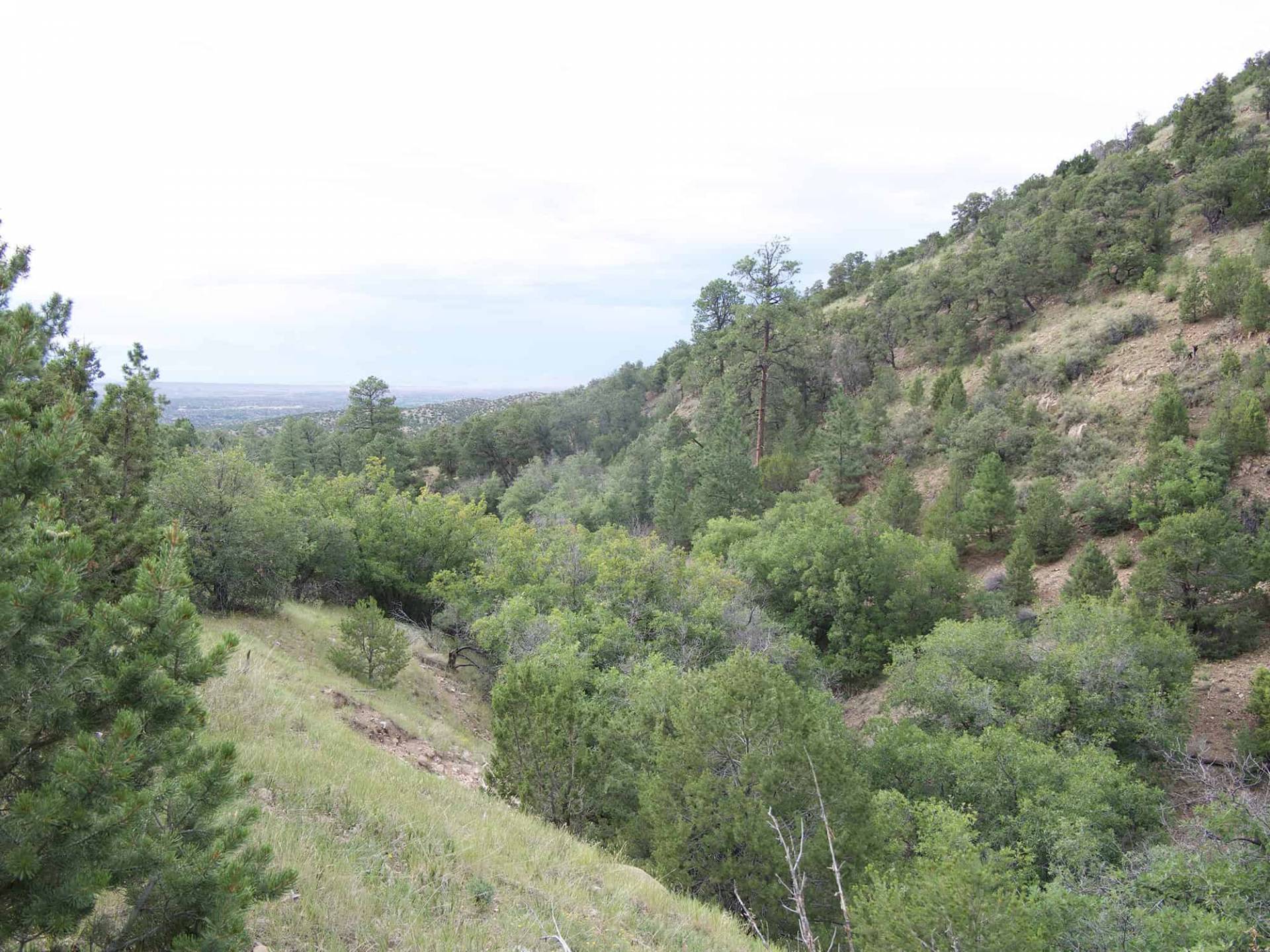 looking down into Juan Canyon