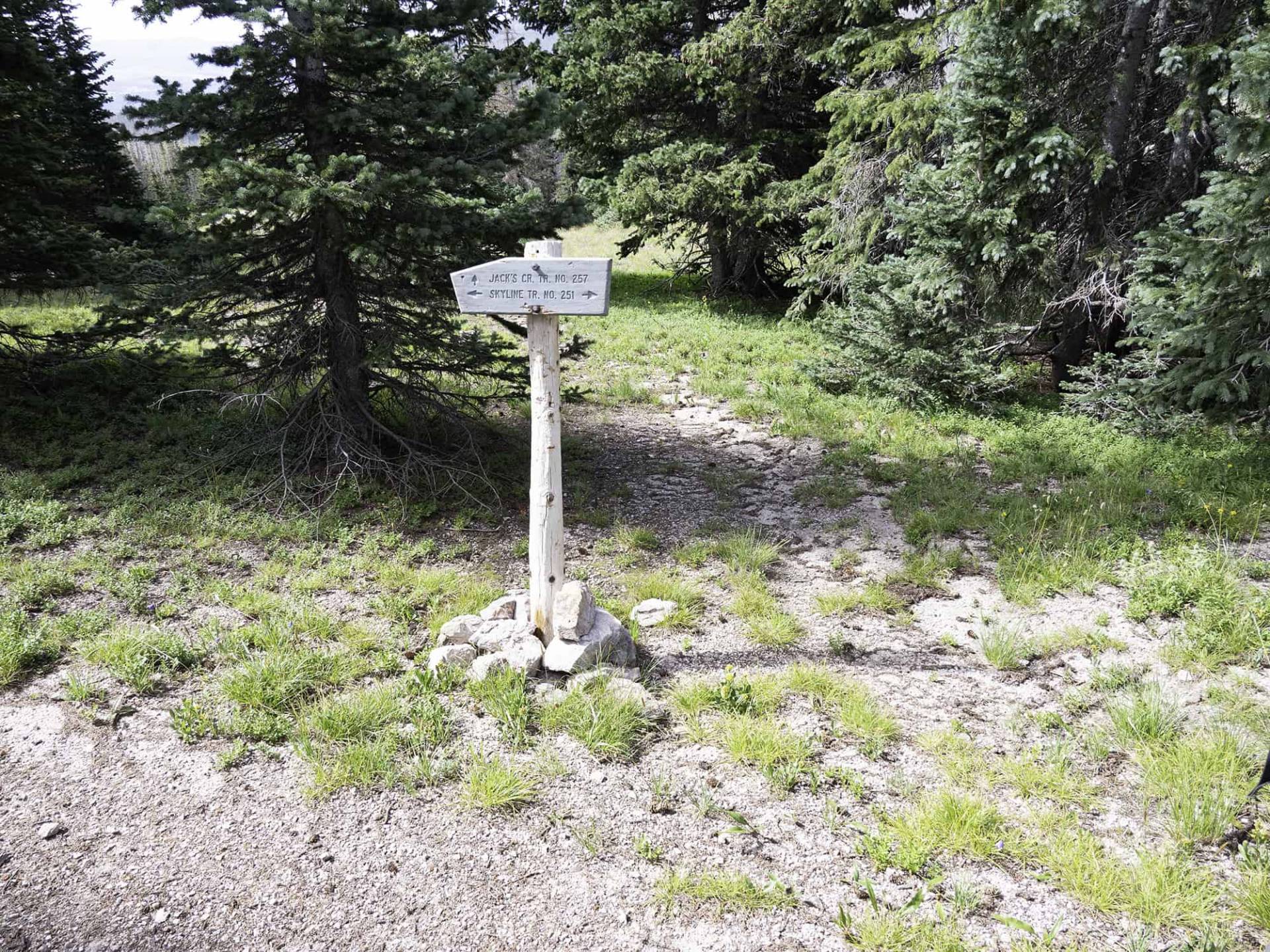 S3-3 Jack's Creek Trail & Skyline Trail intersection sign