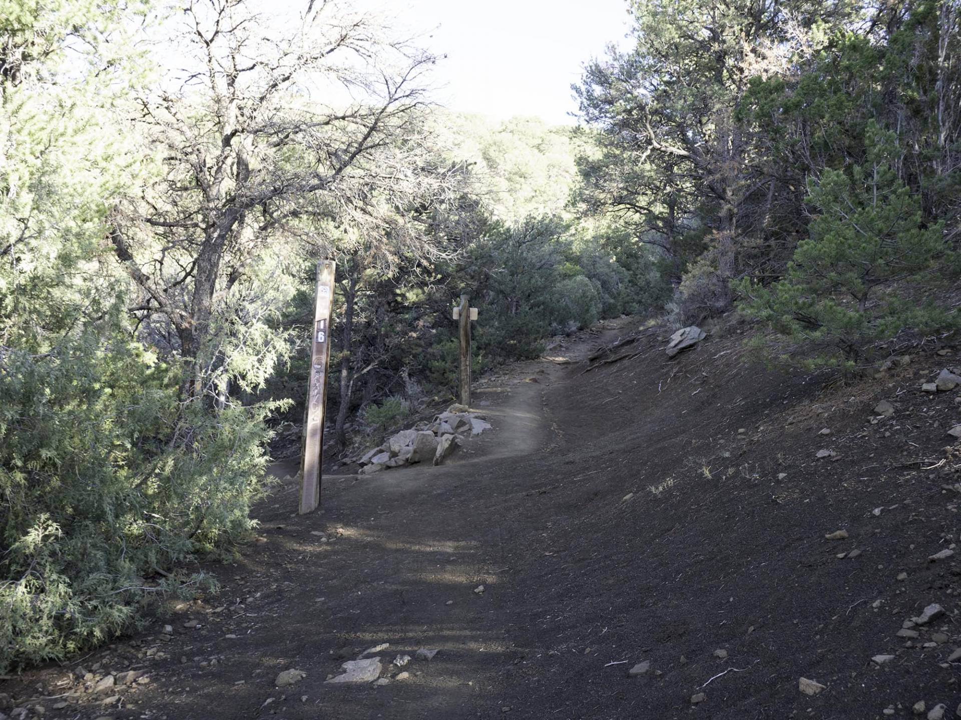 S6-5 view of Taos Mountains from unnamed trail