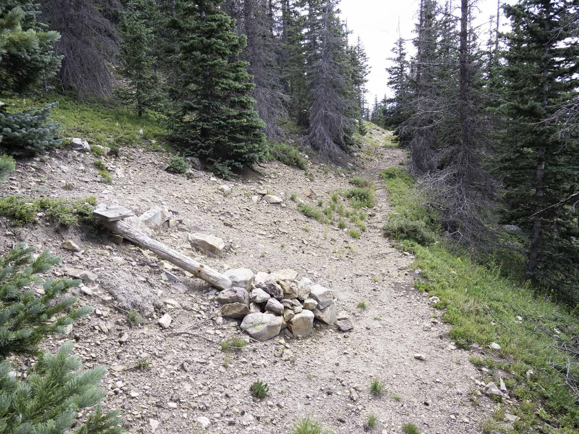 S3-3 Jack's Creek Trail & Skyline Trail intersection sign