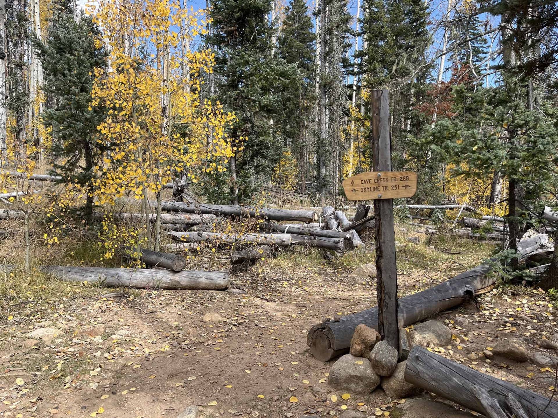 S2-5 New views along Skyline Trail