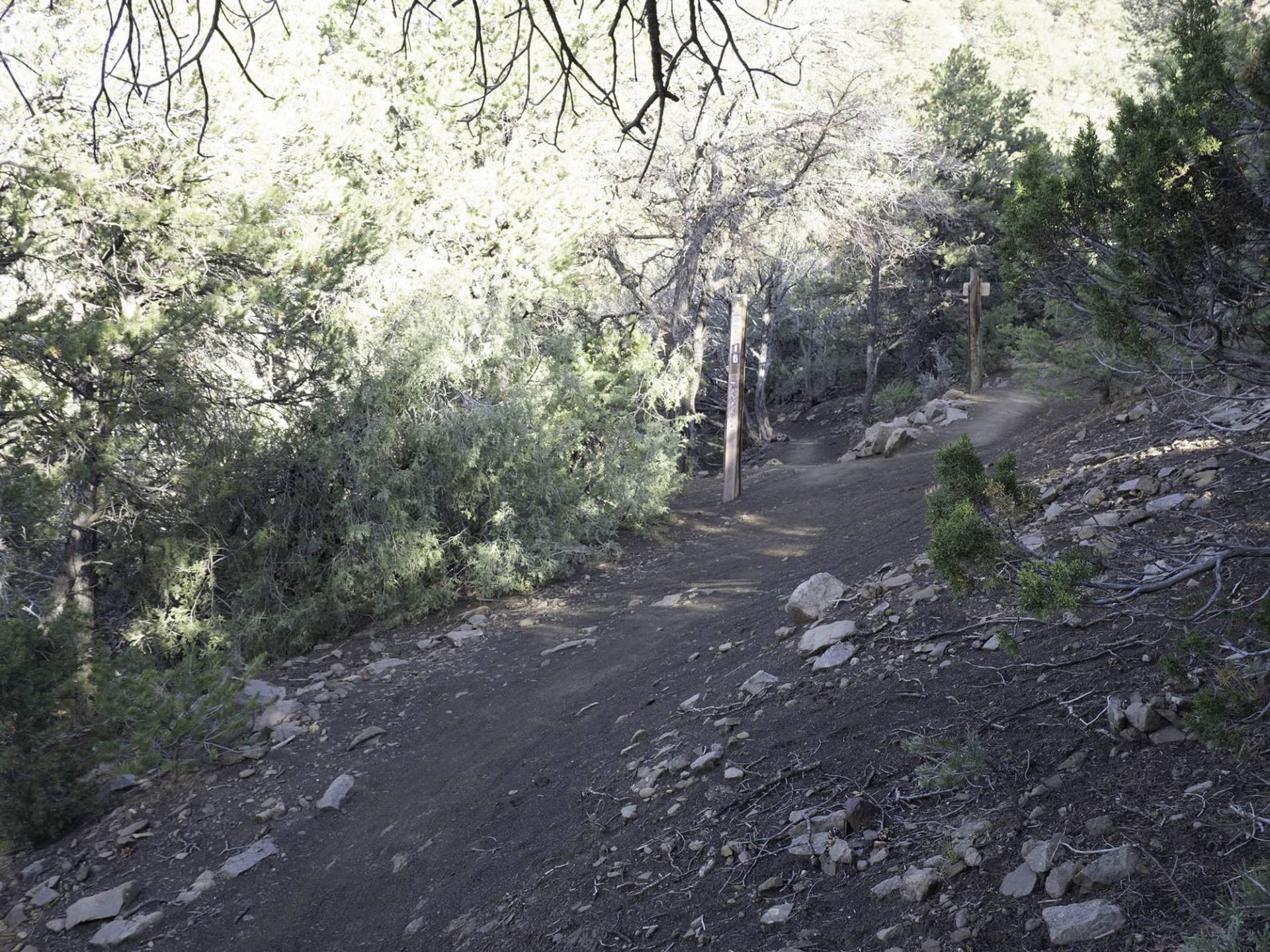 S6-5 view of Taos Mountains from unnamed trail