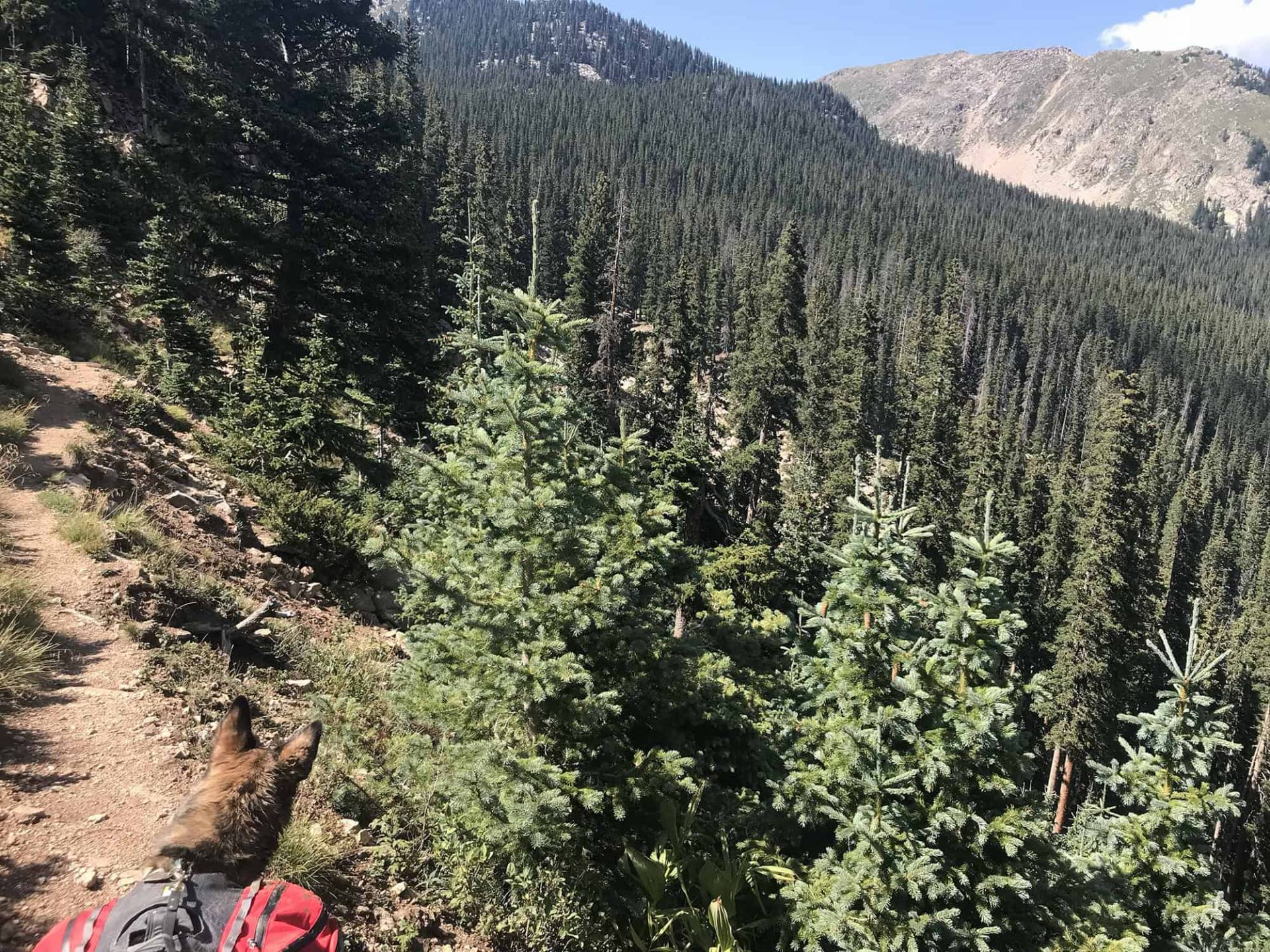 View of Truchas Peaks from the saddle en route to Lake Katherine, Section s2-3