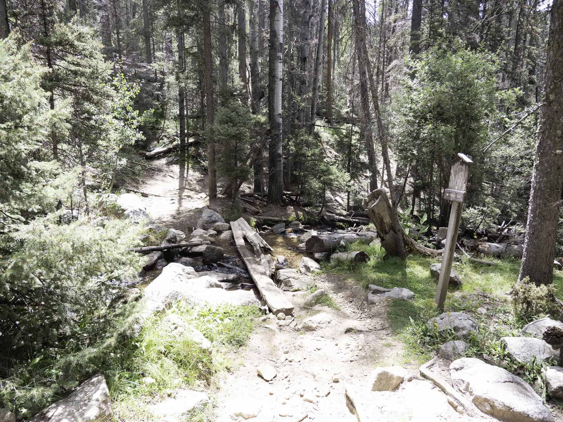 S1-9 Winsor Creek, sign for Winsor Trail (254), at intersection with Rio en Medio trail (163)