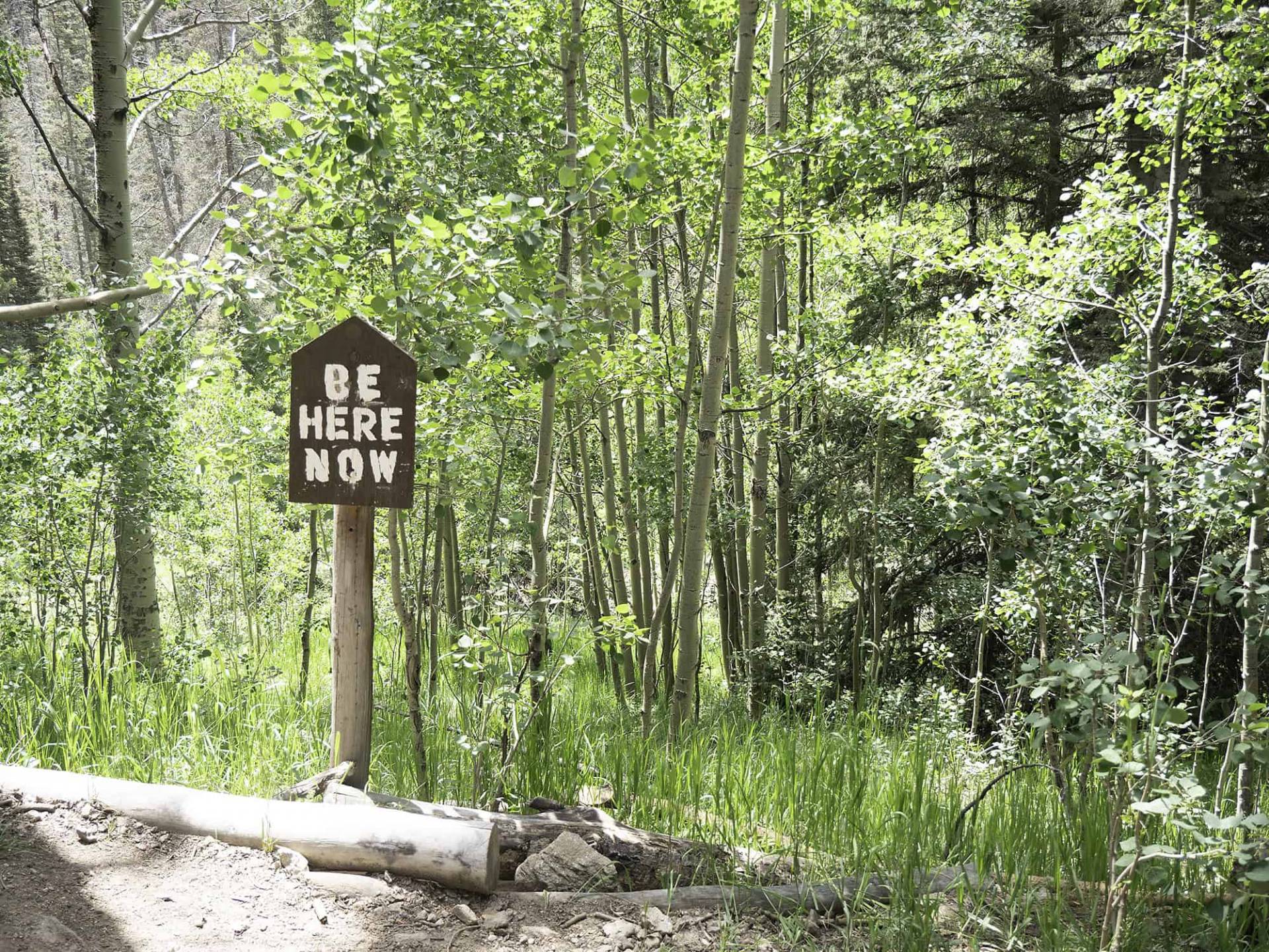 S2-1 Be Here Now sign going up Winsor Trail