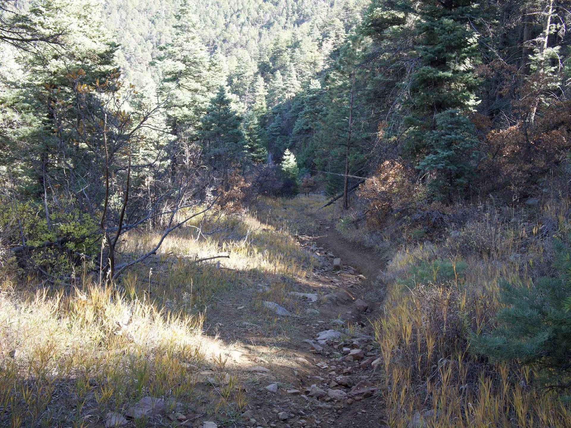 S6-5 view of Taos Mountains from unnamed trail