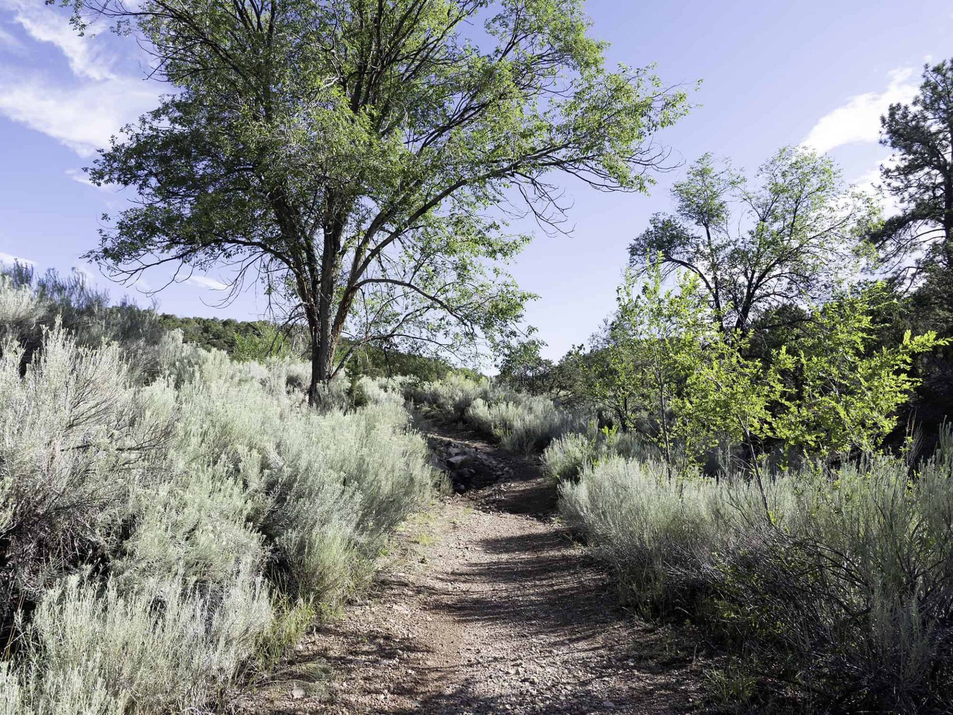 approaching Sierra del Norte on Dale Ball Trails