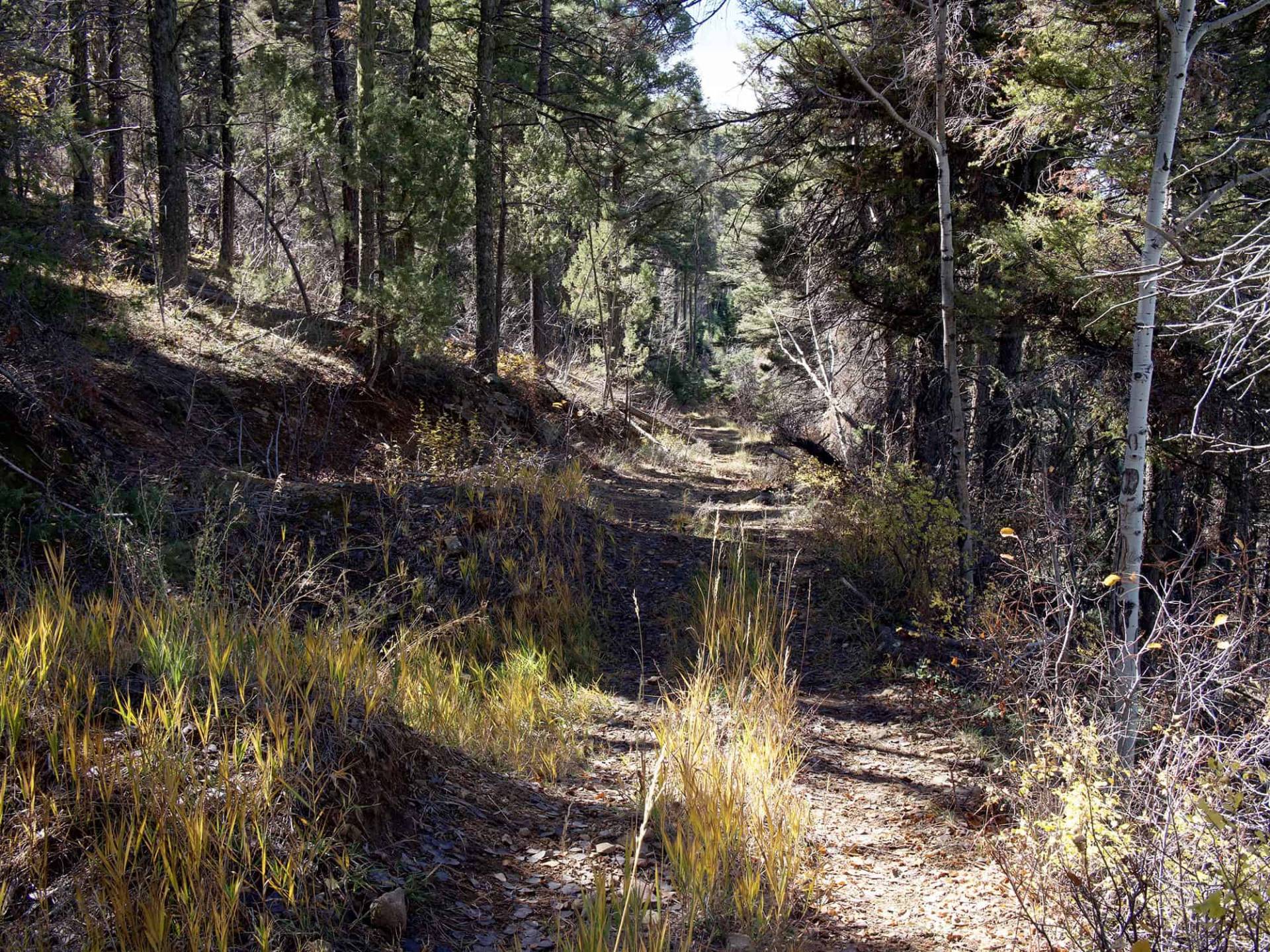 S6-5 view of Taos Mountains from unnamed trail